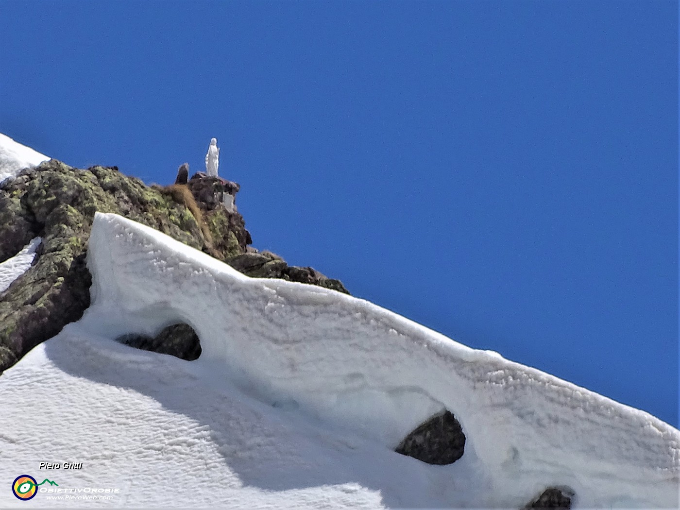 06 La Madonnina del GEM spunta dalle cornici di neve sulla cima del Pietra Quadra (2356 m).JPG